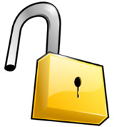 mobile internet security